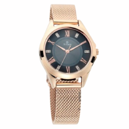 Titan Sparkle 2565WM01 Black Dial Stainless Steel Mesh Strap Quartz Women's Watch Titan Sparkle 2565WM01 Black Dial Stainless Steel Mesh Strap Quartz Women's Watch