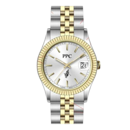 Paris Polo Club PPC-EE02-SG-SL Analog Men Watch Paris Polo Club PPC-EE02-SG-SL Analog Men Watch