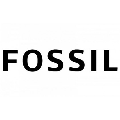 FOSSIL WATCH LE1120 | LATEST TREND 