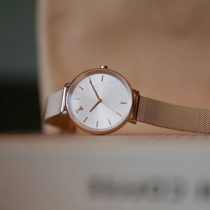 Hush Puppies Orbz HP.3876L.9505 Rose Gold Mesh Stainless Steel Band Women Watch Hush Puppies Orbz HP.3876L.9505 Rose Gold Mesh Stainless Steel Band Women Watch
