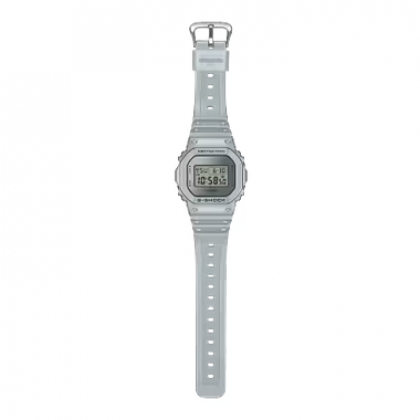 Casio G-Shock Forgotten Future Series DW-5600FF-8 Metallic Silver Resin Band Men Sport Watch Casio G-Shock Forgotten Future Series DW-5600FF-8 Metallic Silver Resin Band Men Sport Watch